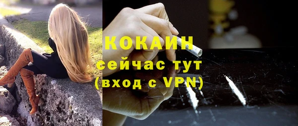твердый Киреевск